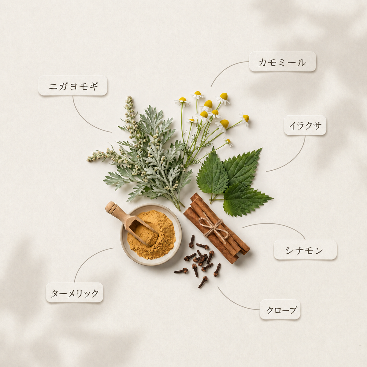 A styled flat-lay of several natural ingredients arranged on a light cream background with soft shadow overlays. Visible items include a small bowl of yellow powder with a wooden scoop, cinnamon sticks tied with string, loose cloves, green leaves, a cluster of small yellow flowers, and a sage-like herb sprig.
